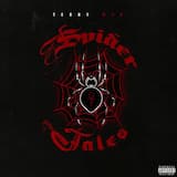 The Eyes of a Spider