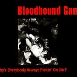 Why’s Everybody Always Pickin’ on Me? (Honkus Maximus mix) (LP version)