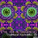 Traditional Psychedelics