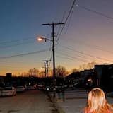 if you understood me, the roots would have grown