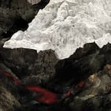 Le Tigre de Tasmanie