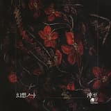 サン・ドニ通りの子猫たち