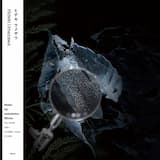 Structures of Liquidity