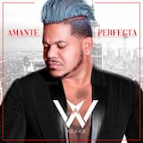 Amante perfecta