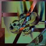 Mondulkiri 12°, 108°