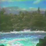 Full-Length Vacation