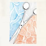 Silver Shears