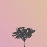 Where Has The Old You Gone