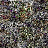 Master Of Contrast Control