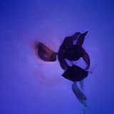 004-‹º_ ĳ ··· ɐ ··ᚱ ᚷᛙᛩᛎᚡ