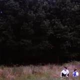 Спокойной ночи