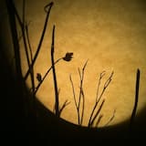 Here Comes the Acoustic Season