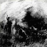 Weary Travelers Rest