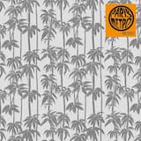 A Beautiful Afternoon (album mix)