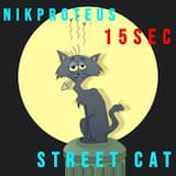 street cat 15 sec