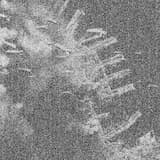 violence is the solution