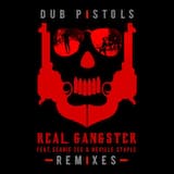 Real Gangster (Gaudi Remix)