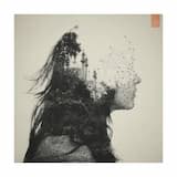 Waiting for Superman