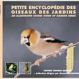 Effraie Des Clochers