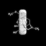 Black Gojira (Weith Remix)