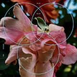 Like a Butterfly (Wawa's Stoned Out Remix)