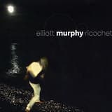 Someday All This Will Be Yours