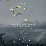 Vom Augenwischer zum Millionär