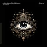 Other Eye