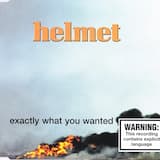 Exactly What You Wanted