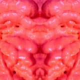 Smell the Sound of Love