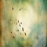 Stars Die Too - Parts I - III