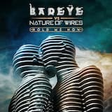 Hold Me Now (Nature of Wires remix)