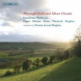 Serenade in E minor for Strings, op. 20: I. Allegro piacevole