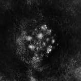 Aforisma (With Witxes)