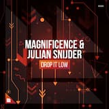 Drop it Low (Extended Mix)