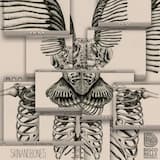 Machines Don’t Lie