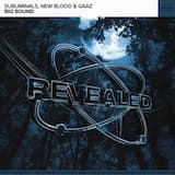 Big Sound (extended mix)