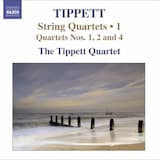 String Quartet no. 1: I. Allegro appassionato