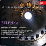 Immisit Dominus pestilentiam, ZWV 58: I. Immisit Dominus pestilentiam (Recitativo accompagnato)