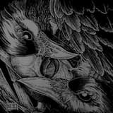 Gates to Manic-Depression and Suicide