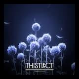 Thistlect
