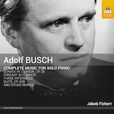 Intermezzo in C-Sharp Minor, BoO 74