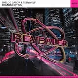 Because of You (extended mix)