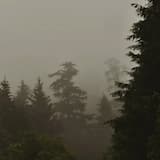 ABYSS OF THE MIND / STARGAZER'S DIARY