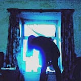 BIRD TIED TO A BRICK