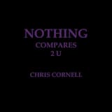 Nothing Compares 2 U