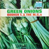 Stranger on the Shore