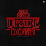 The Upside Down