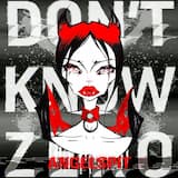 Don’t Know Zero (single mix)