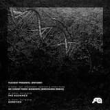 We Count These Moments (Wreckless remix)